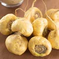 Haematococcus Pluvialis